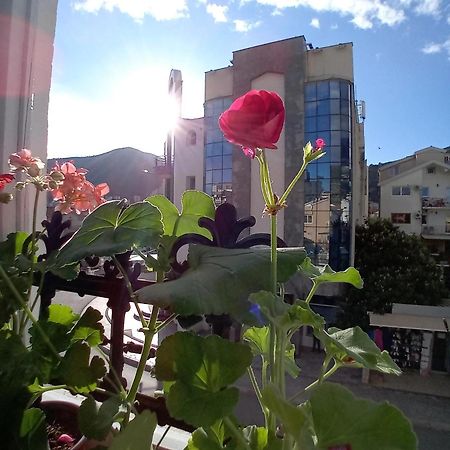 Kiwi Apartments Budva Eksteriør bilde