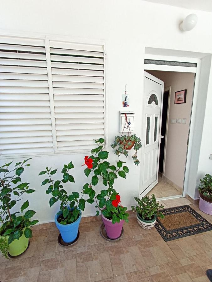 Kiwi Apartments Budva Eksteriør bilde